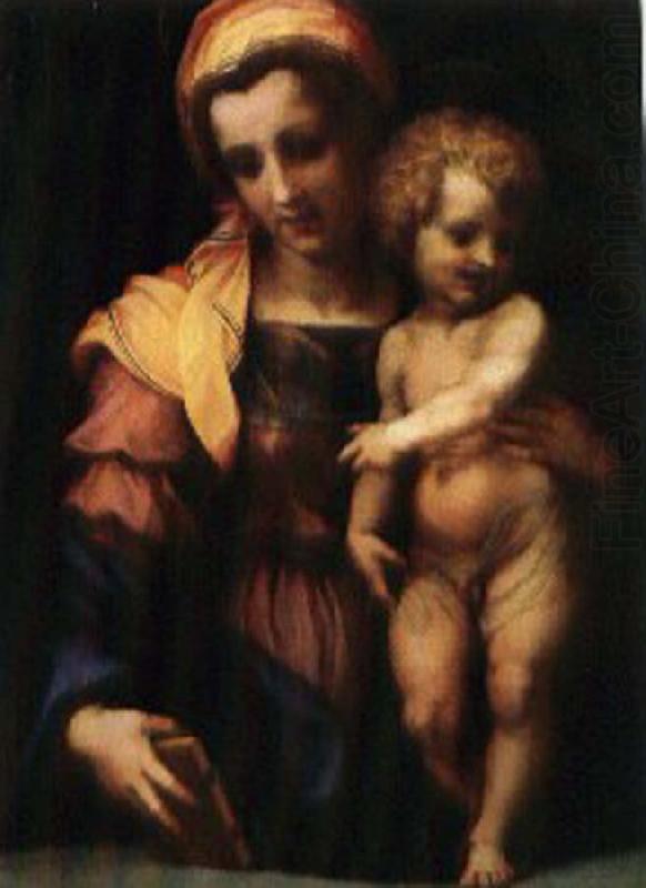 Andrea del Sarto Our Lady of subgraph china oil painting image